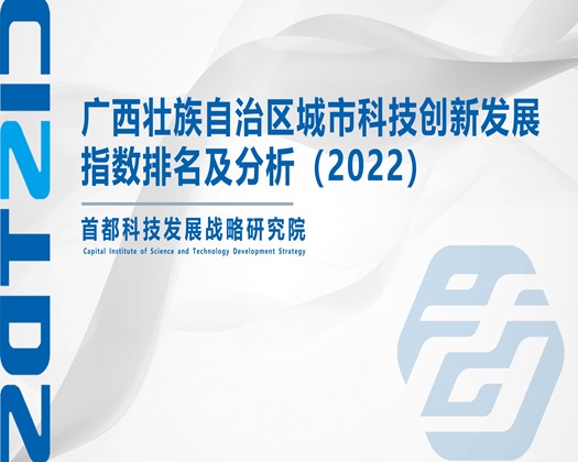 美女被操到爆水网站【成果发布】广西壮族自治区城市科技创新发展指数排名及分析（2022）